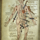 Illustration for article titled Feast your eyes on this treasure trove of old medical illustrations